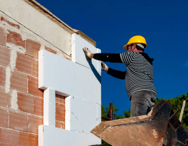 Best Residential Insulation in Marion, MS