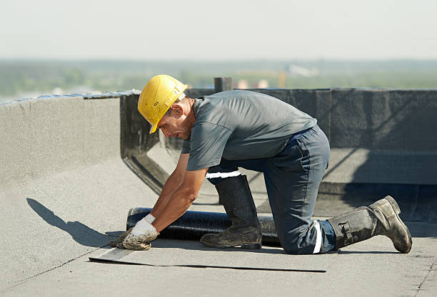 Best Specialized Insulation Services in Marion, MS